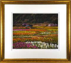 友成晴雄 「桜島」 油絵・油彩画 絵画 - メルカリ