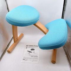 balans Easy】サカモトハウス バランスイージー 【美品】 - メルカリ