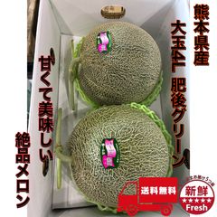 【超希少・幻のメロン】茨城県産 優香（ゆうか）3Lサイズ 5個 送料込 食品 【超希少・幻のメロン】茨城県産 優香（ゆうか）3Lサイズ 5個 送料