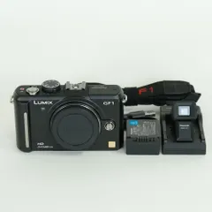 2026年最新】lumix GF1の人気アイテム - メルカリ