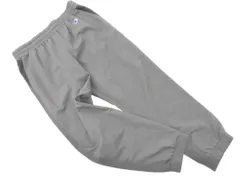 Champion チャンピオン ジョガー パンツ sizeL/グレー ■◇ レディース