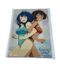 미품 쇼가쿠칸 패배 히로인이 너무 많다! Blu-ray 전권 구입 특전 캐릭터 파인 보드 상품