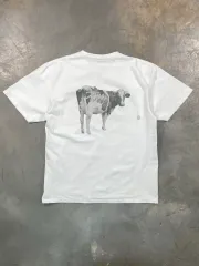 STUSSY グラフィック半袖Tシャツ