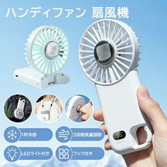 JANTJE_ONTEMBAAR ハンディファン 本体 ミラー付 - メルカリ