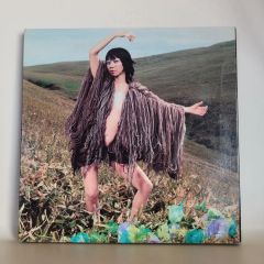 UA☆泥棒☆アナログ盤 LP レコード - メルカリ
