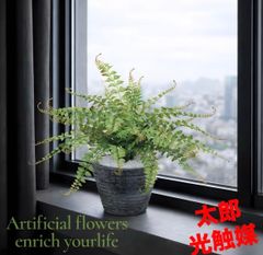 光触媒 人工観葉植物 ウォールグリーン フェイクグリーン レザーファン 