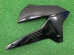 ninja250R用サイドカウル左右セット6月11日まで取り置き - メルカリ