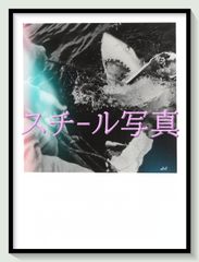 pt『undo “アンドゥー”』映画B2判オリジナルポスター pt05020 岩井