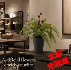 光触媒　人工観葉植物　ウォールグリーン　フェイクグリーン　ソードファン35@@のサムネイル