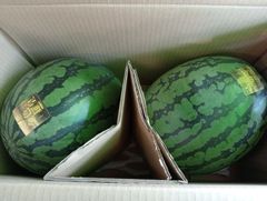熊本産】金色羅皇西瓜 2L×2玉入｜特選＊送料無料 - メルカリ
