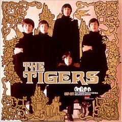 ザ・タイガース１２枚組CD 廃盤/限定品 ザ・タイガース12枚組CD 廃盤/限定品 - メルカリ