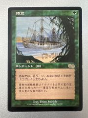 MTG 踏査 Exploration CNS 日本語 4枚 - メルカリ