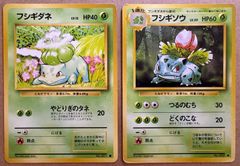 サザンアイランドセット(ダメージ特価品) ポケモンカード旧裏まとめ