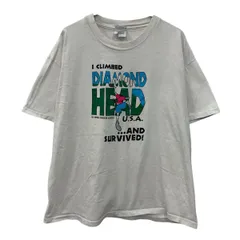 90s USA製 Hanes 半袖 プリントTシャツ XL ホワイト ヘインズ プルオーバー 90年代 両面プリント ビッグプリント 夏物 a805-6254のサムネイル