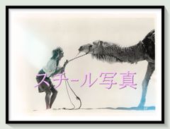 希少画集】ロジャー・ディーン Magnetic Storm（洋書）Roger - メルカリ