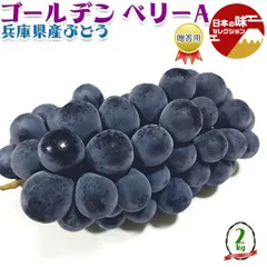 ぶどう 兵庫県産 ゴールデン ベリーA 贈答用 1箱 2kg JAの正規品 葡萄 黒ぶどう クール便 果物 フルーツ プレゼント お中元 ギフトのサムネイル