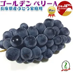 訳あり ぶどう 兵庫県産 ゴールデン ベリーA 家庭用 1箱 2kg JAの正規品 葡萄 黒ぶどう クール便 果物 フルーツ プレゼント お中元 ギフトのサムネイル