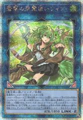 遊戯王 聖域を守護せし光の龍 エクストラシークレット WPP6-JP082