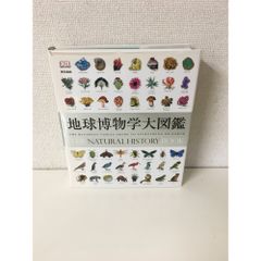 サボテン 世界の図 黄斑入り 4号鉢つき 大玉3株セット❗ ② - メルカリ