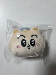 前田敦子 AM&YOU ネギちゃん ぬいぐるみ ファンクラブ限定（2000個