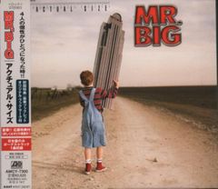 ミスター・ビッグ「テン（Japan Edition）」〈限定盤・180g重量盤