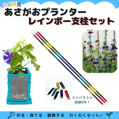 あさがおプランター レインボー支柱3本セット◆メール便無料◆ あさがお プランター 夏休み 自由研究 宿題 課題 手作り 手作りキット 考えて作る  花 栽培  植木鉢 鉢 トレー付き おしゃれ デザイン性 ニューノーマルブロック  小学校のサムネイル