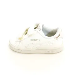 pumaのサムネイル