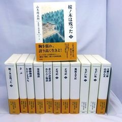 山本周五郎 藤沢周平 時代小説 まとめ売り 全集未収録作品集含 計19冊