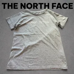 THE NORTH FACE GRAND TETON ロゴTシャツ グレー