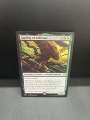 MTG セファリッドの円形競技場 foil - メルカリ