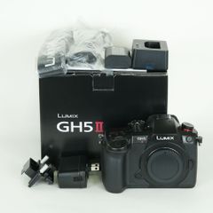 極美品】LUMIX DC-S5IIxボディ+純正バッテリー2個付き - メルカリ