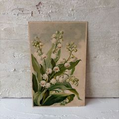 フランスアンティークポストカード｜鈴蘭の花束 スズランの植物画