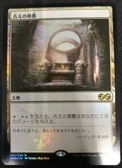MTG 不毛の大地 英語 Wasteland Foil EPX エクスペディション - メルカリ