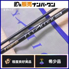 カーペンター BC ガンマ75-190 CARPENTER γ キャスティングプラグ