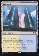MTG 神聖なる泉/Hallowed Fountain 日本語 ECL - メルカリ