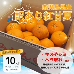 【訳アリ】【紅甘夏】【数量限定】【10キロ】鹿児島県産  ブランド果実 みかん 夏みかん 蔵出しのサムネイル