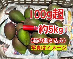 宮崎県産摘果マンゴー グリーンマンゴー5kg - メルカリ