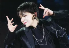 【中古】コレクションカード(男性) 091：SEVENTEEN/ディノ(DINO)/ライブフォト/「SEVENTEEN EXHIBITION ‘FOLLOW FELLOW’ IN JAPAN」ライブフォトカード