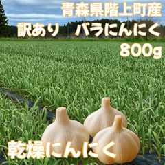 秋田県産 雪下バラニンニク 300g 福地ホワイト - メルカリ