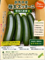 ブランドズッキーニ | 潤翠-JUNSUI- | 宮崎県産　Mサイズ　5箱セット ブランドズッキーニ | 潤翠-JUNSUI- | 宮崎県産 Lサイズ - メルカリ
