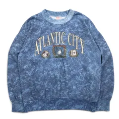 Vintage 90s USA Made Sweatshirt Feathers 90年代 ストーンウォッシュ スウェット L ブルー ATLANTIC CITY