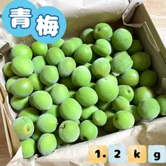 福岡県産 青梅 1.2kg ★梅しごと始めませんかのサムネイル