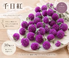 紫陽花ドライフラワーハネ品 E1 60サイズ 北海道産 今週ラスト出品