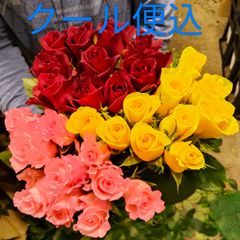 バラ ご注文 30センチ70本 バラ 切り花 生花 バラB級品50センチ30本❲切り花生花バラ❳8 - メルカリ