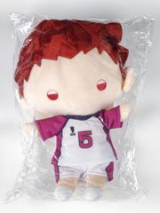もちWhat！ぬいぐるみ 緋田美琴 アイドルマスター シャイニーカラーズ