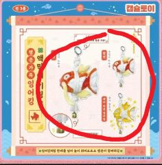 ポケモン メガフェスタ 韓国限定 30周年 厄除けキーホルダー