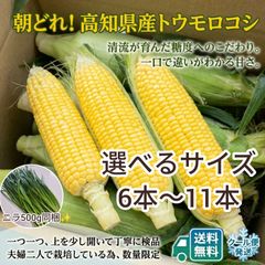徳島県産希少朝ドリとうもろこし甘々娘6本 - メルカリ