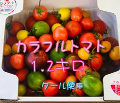トマトの宝石箱🍅1.2㌔BOX❣️(カラフルトマト全12種)！！！おいしい！楽しいヽ(｀▽´)/！農家👩‍🌾直送🚚！フルーツトマト！クールメルカリ便！のサムネイル