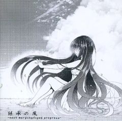 [중고] 동인 음악 CD 소프트 상속의 바람 -next marginalized progress- / Fantaxiom