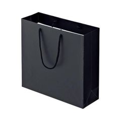 ☆土日限定！ 新品【黒紙袋 75枚セット】まとめ売り 引き出物袋 ギフト